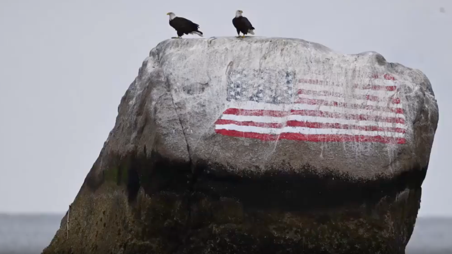 Bipartisan Bill Recognizing Bald Eagle as National Bird Heads to Biden’s Desk