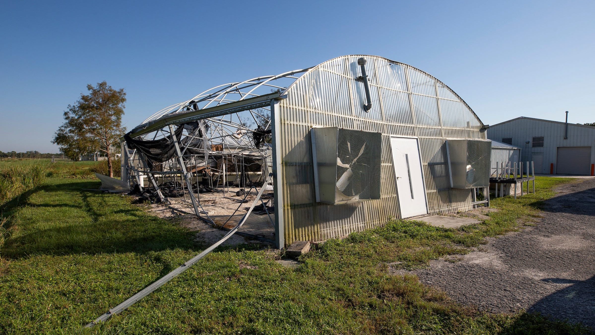 UF economists estimate Florida agricultural losses from Milton top $190M