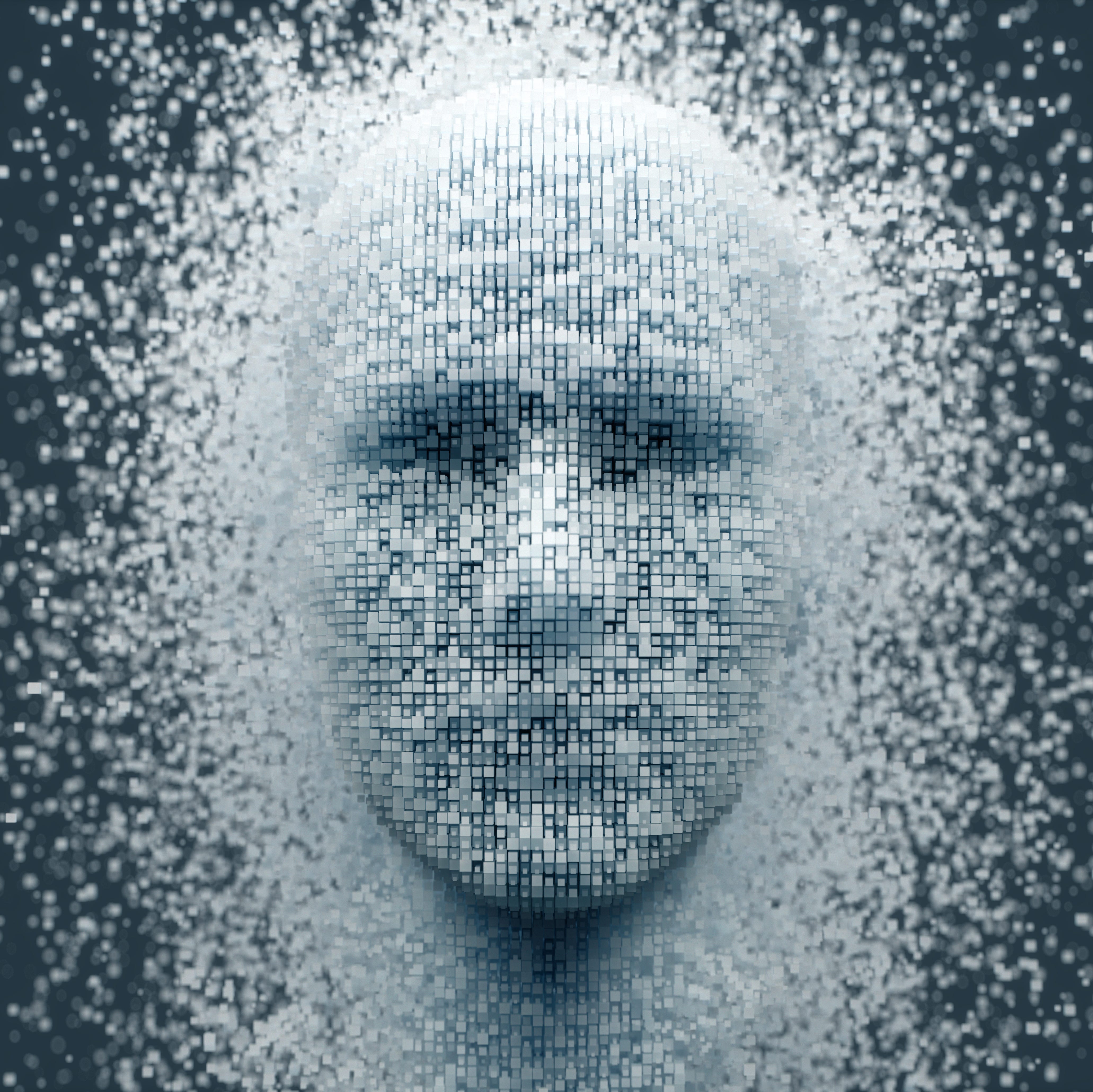 A digital image of a face.