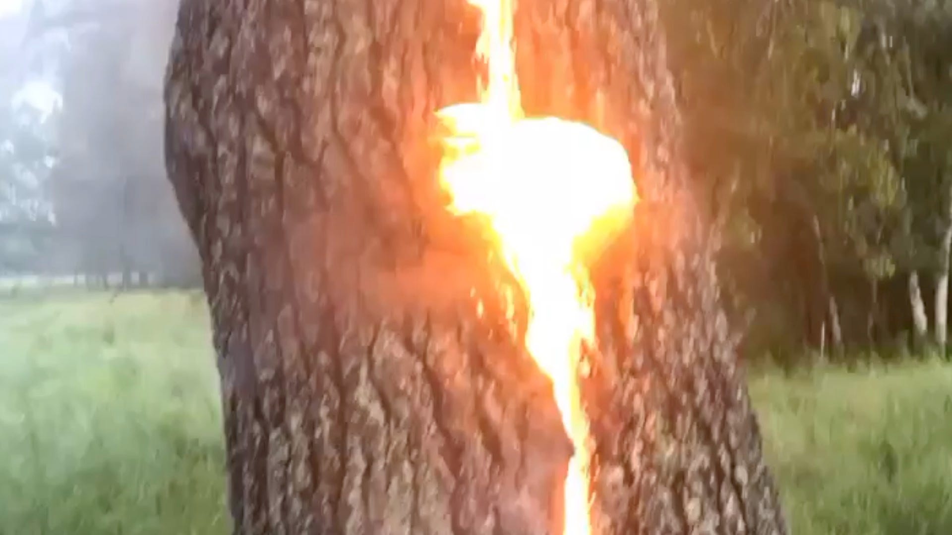 Lightning ignites a fire inside a tree in Maine