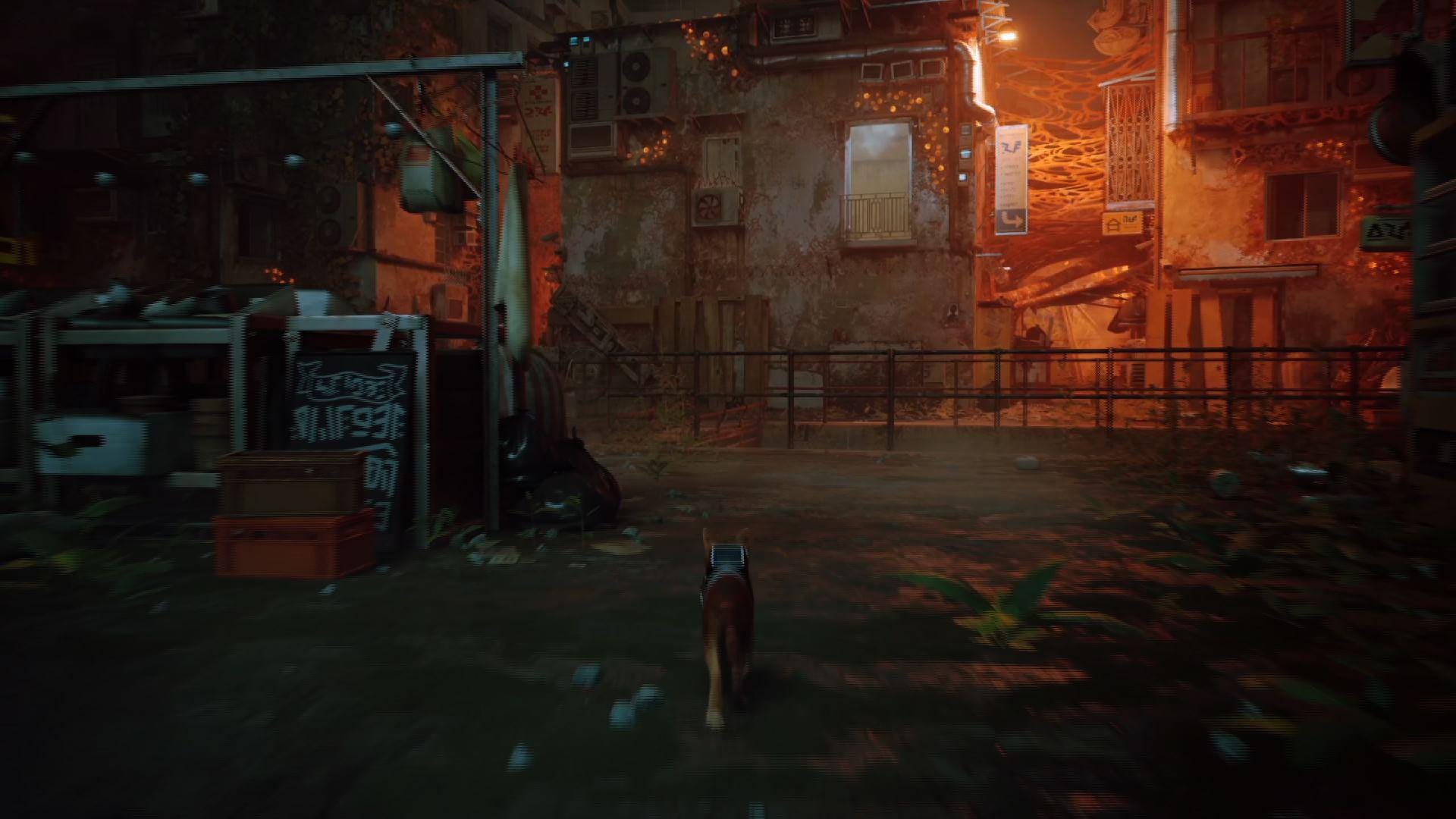 Stray' Cat Video Game Helps Real Cats