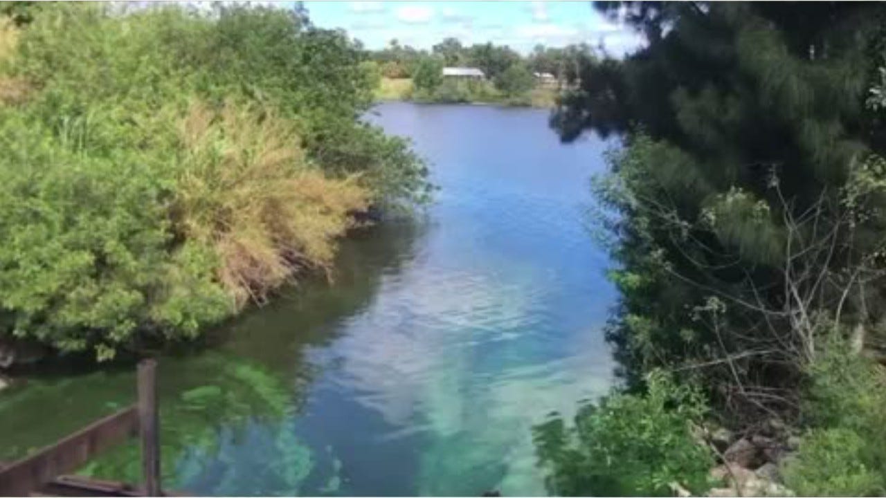 2021: Manatees, Red Tide, Toxic Algae, Dying Springs Made Florida News