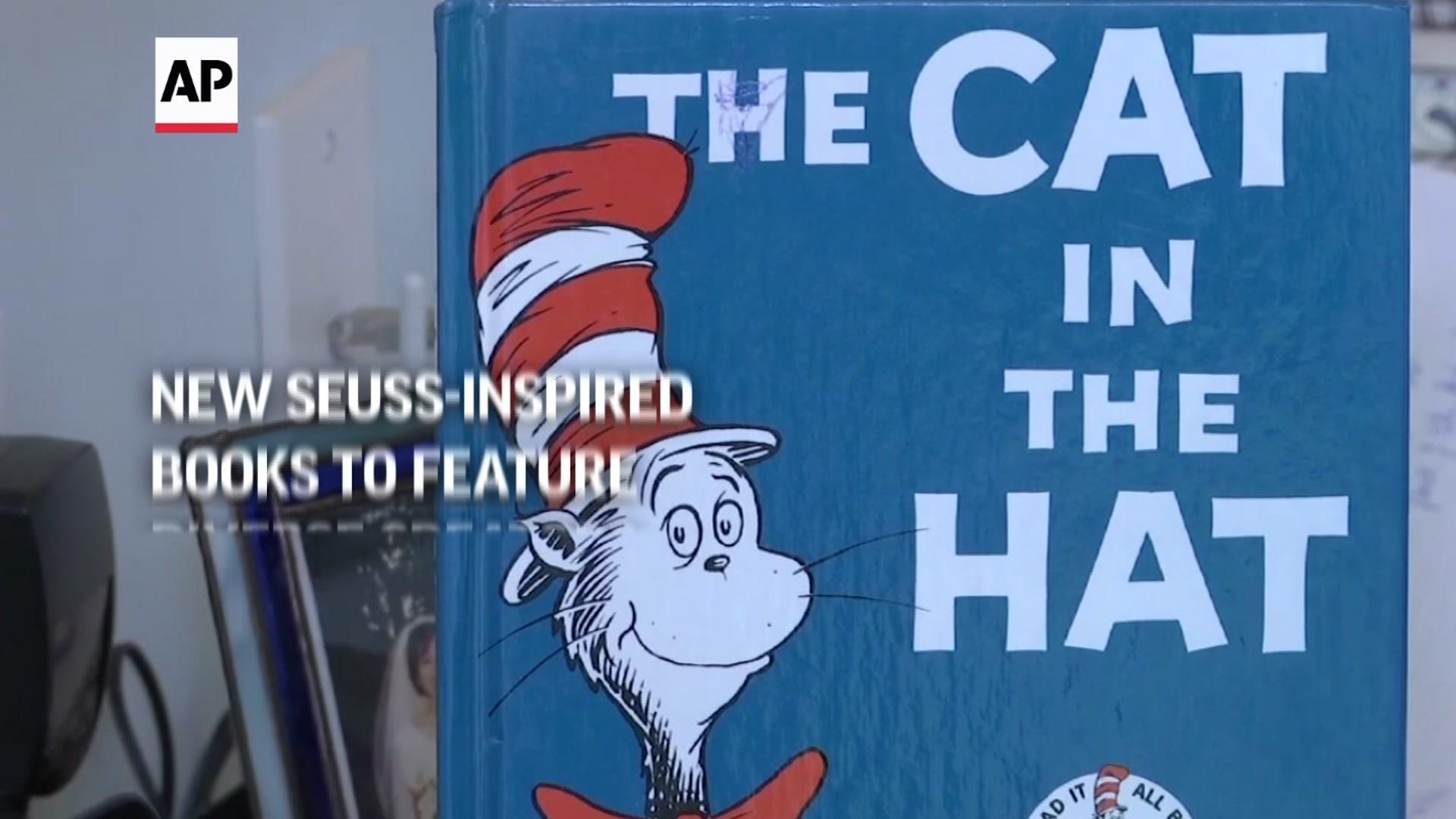 cat in the hat racism