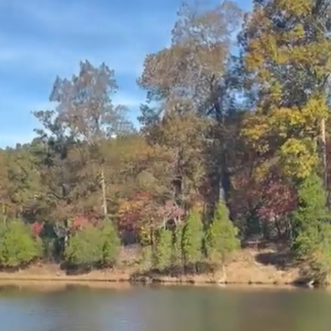 Tennessee fall colors captured in lake reflection