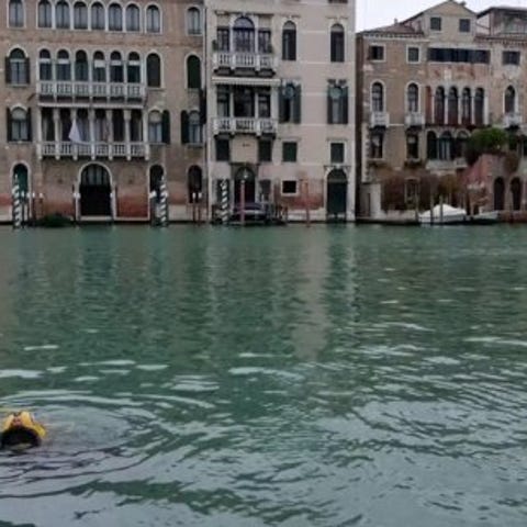 Scuba divers clean up Venice canals after flooding