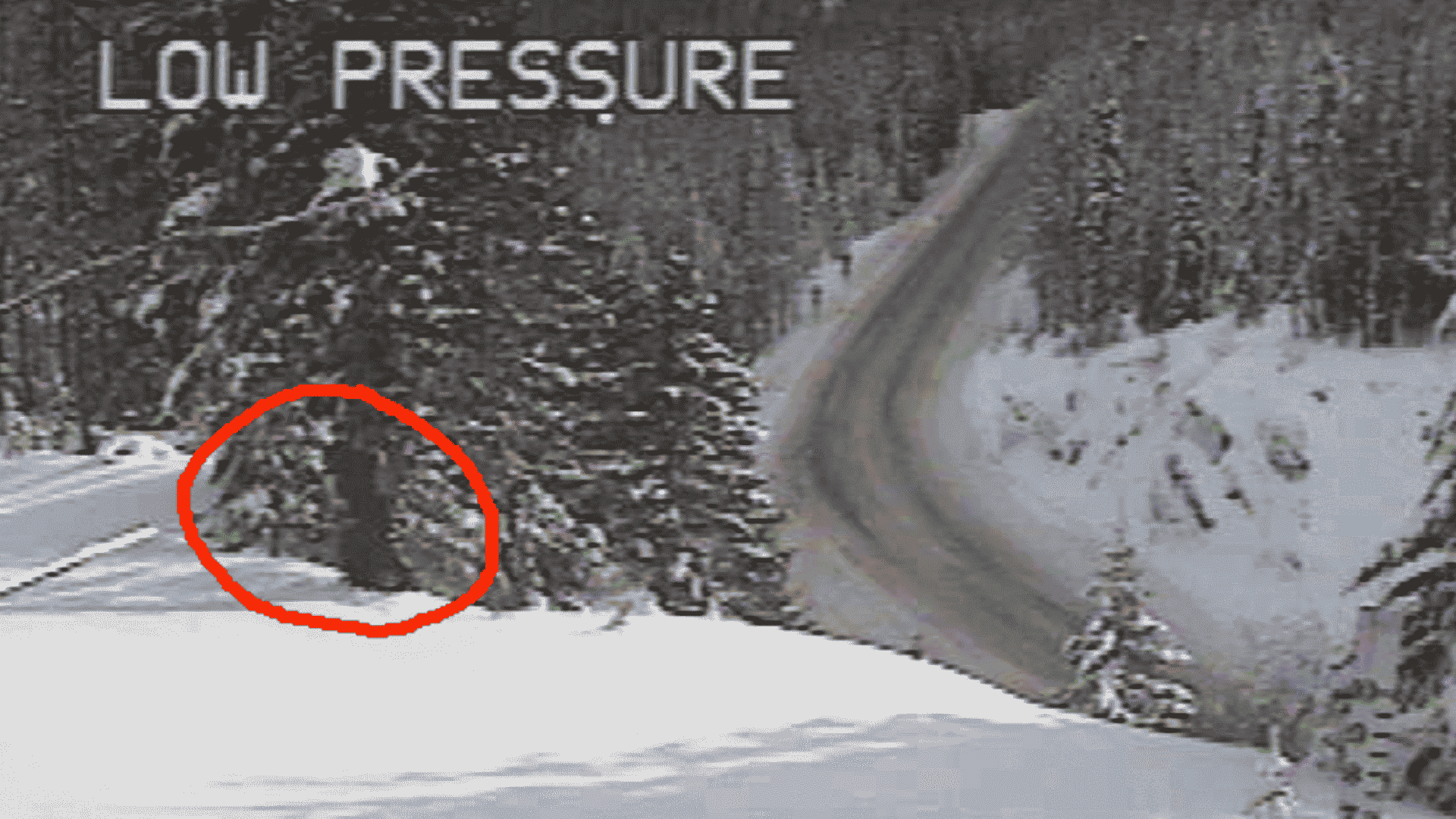 Was Bigfoot spotted on Washington traffic camera?