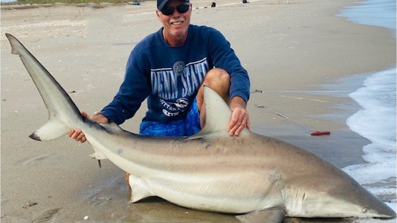 Shark Bites Florida Man In New Smyrna Beach Ninth Incident This Year