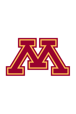 Minnesota defensive coordinator Joe Rossi departs for same job at Michigan  State, AP source says, Football