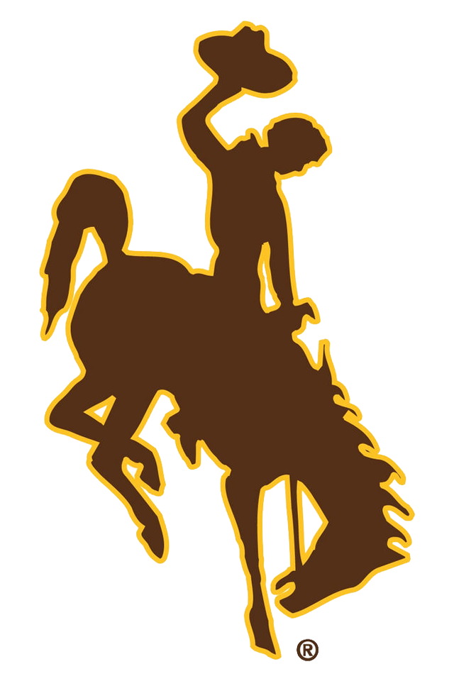 Wyoming Cowboys Bucking Horse Starter Hood - Brown