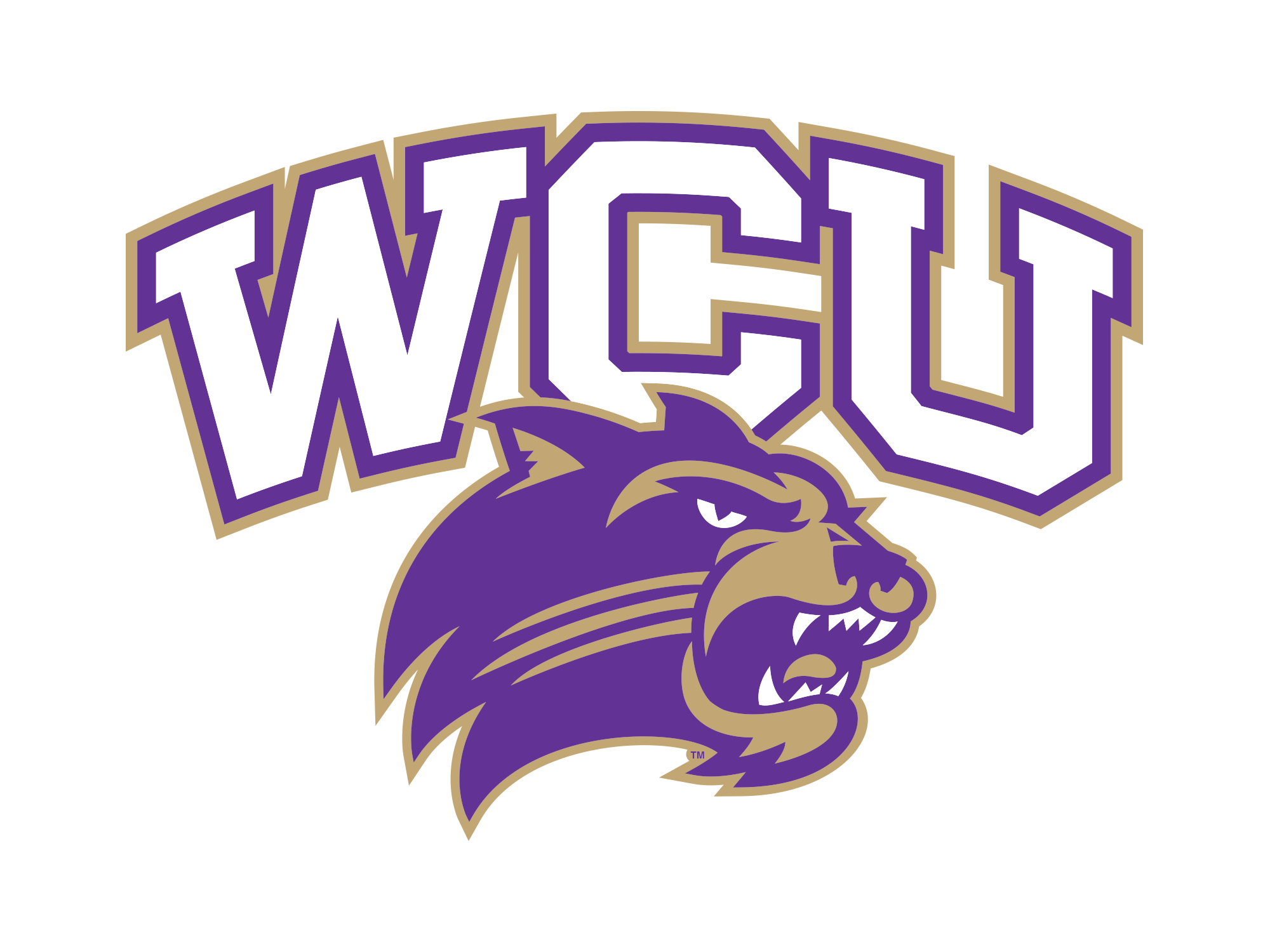 Six-Run Fourth Dooms Catamounts in Home Loss to Wofford - Western Carolina  University