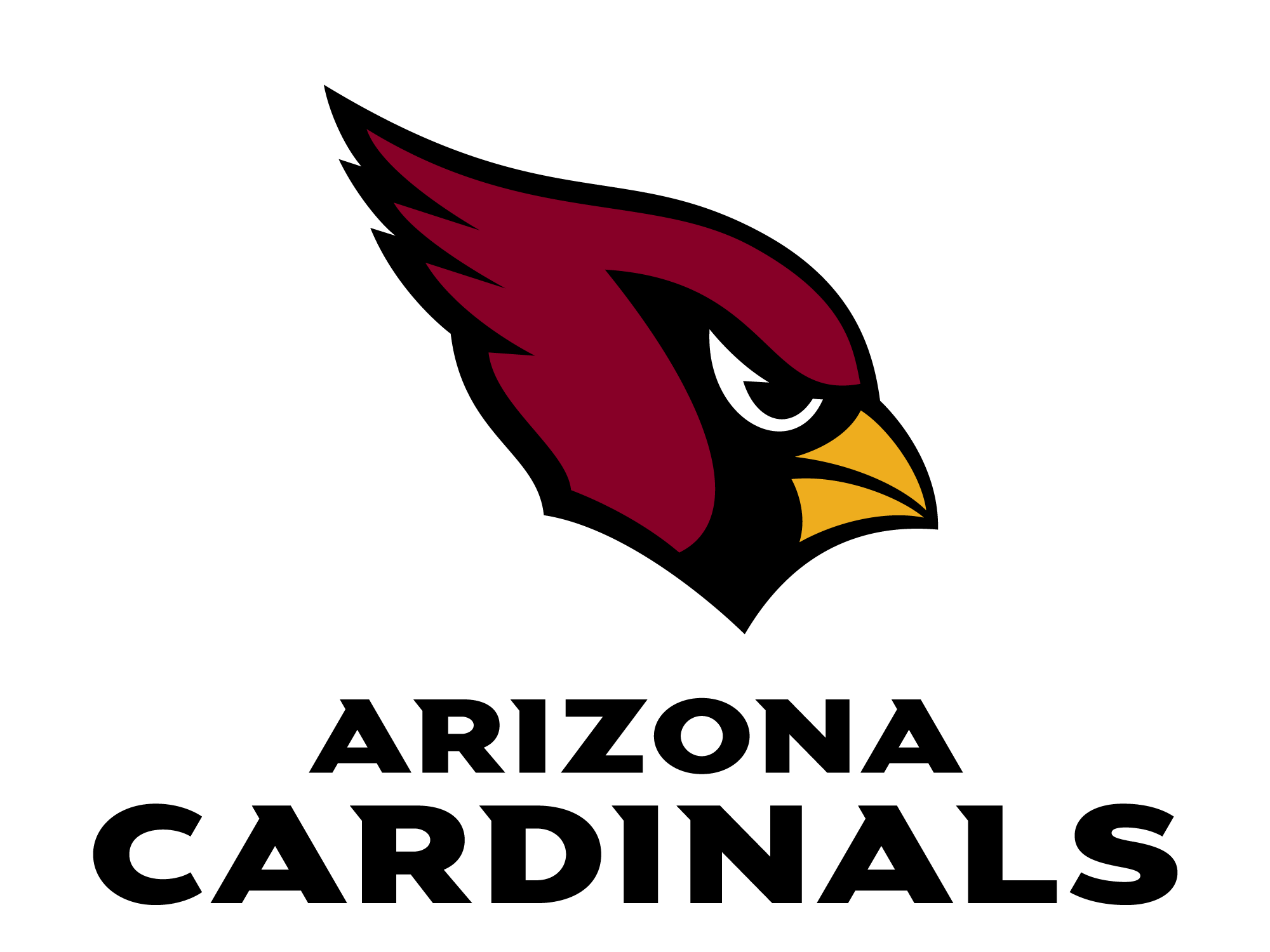 MINNESOTA VIKINGS VS. ARIZONA CARDINALS GAME DAY PLAYBOOK AUGUST 26, 2023!