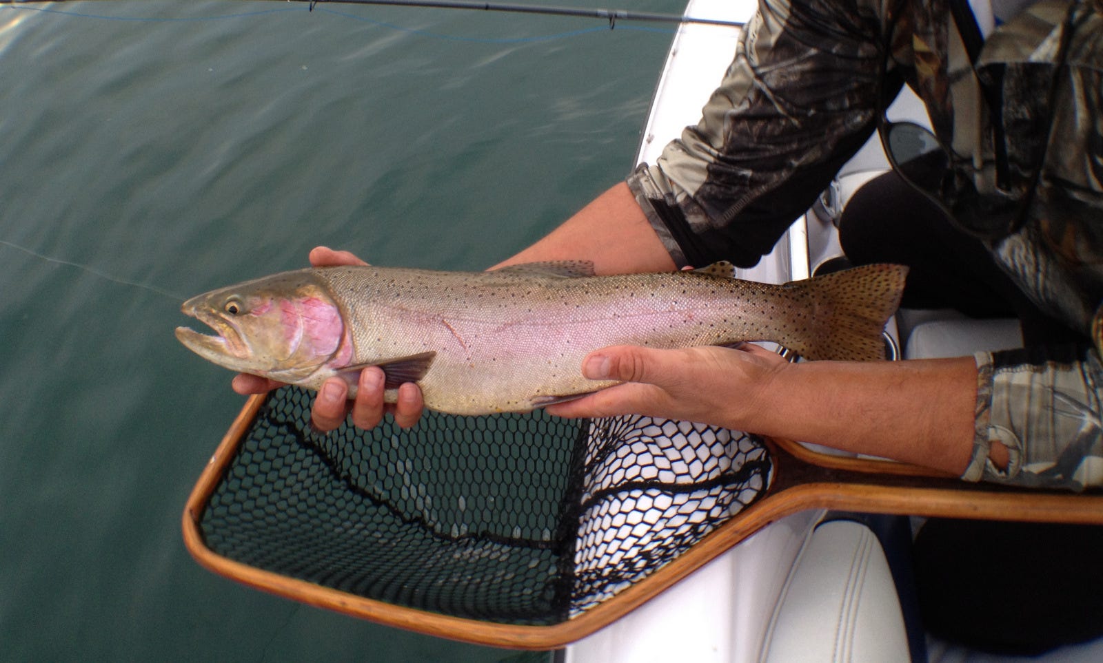 Angler sets new lake record with 19.96 pound rainbow trout at Lake