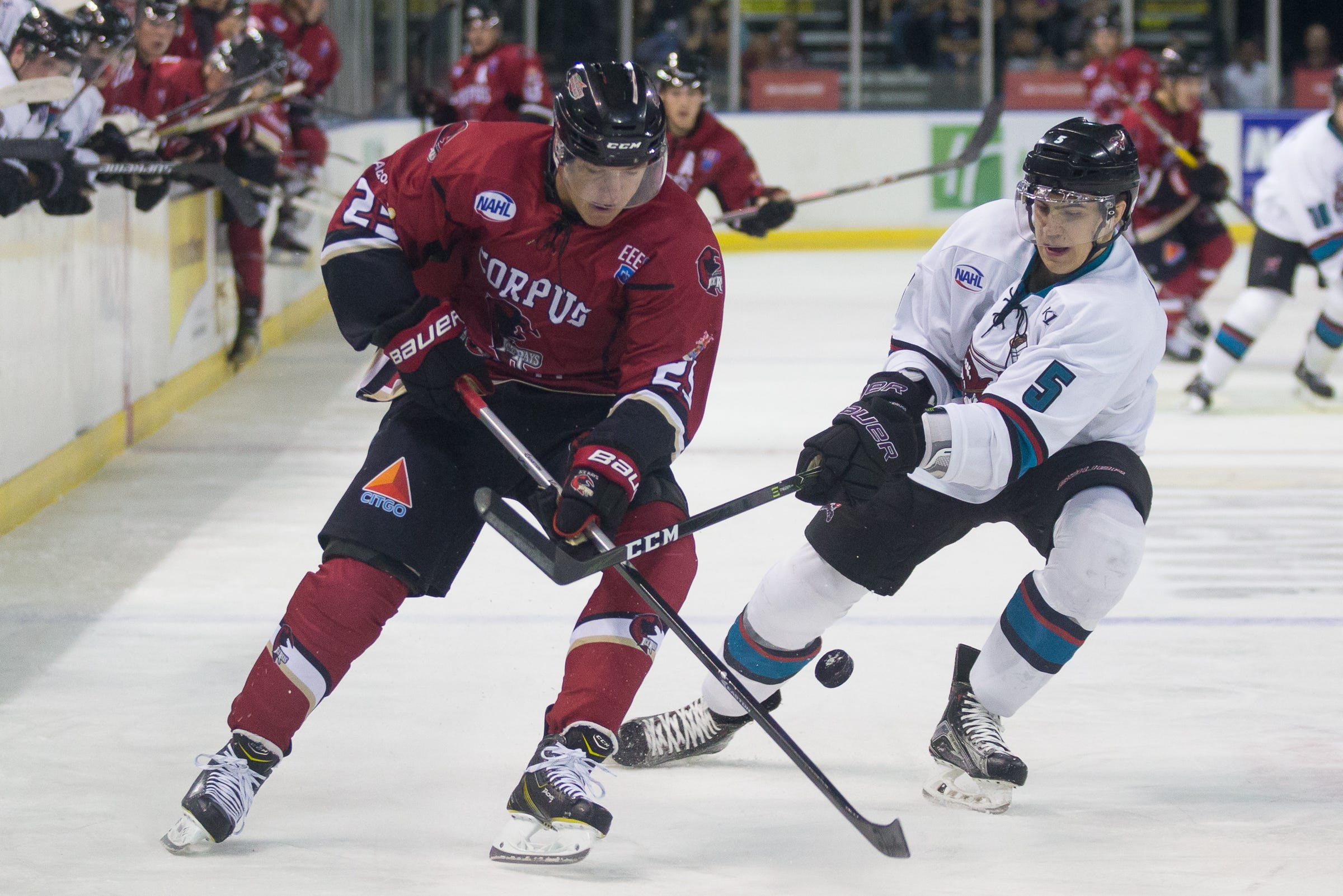 IceRays Invite Army Depot to Stars & Stripes Hockey Game, Article