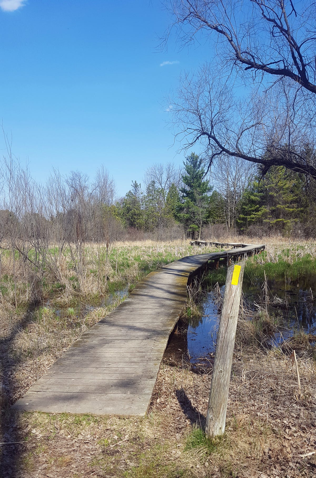 8 Places To Hike In Wisconsin Where Hunting Is Not Allowed