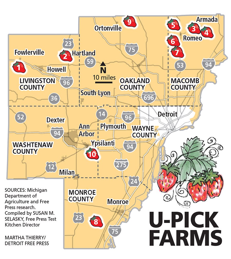 Upick strawberry farms in metro Detroit