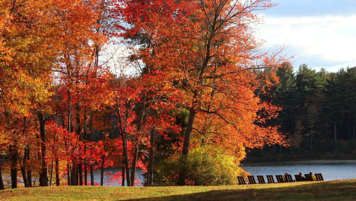 Spectacular fall colors are showcased at Innisfree Garden in Millbrook.