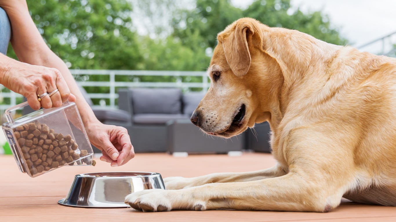 what is dog food testing