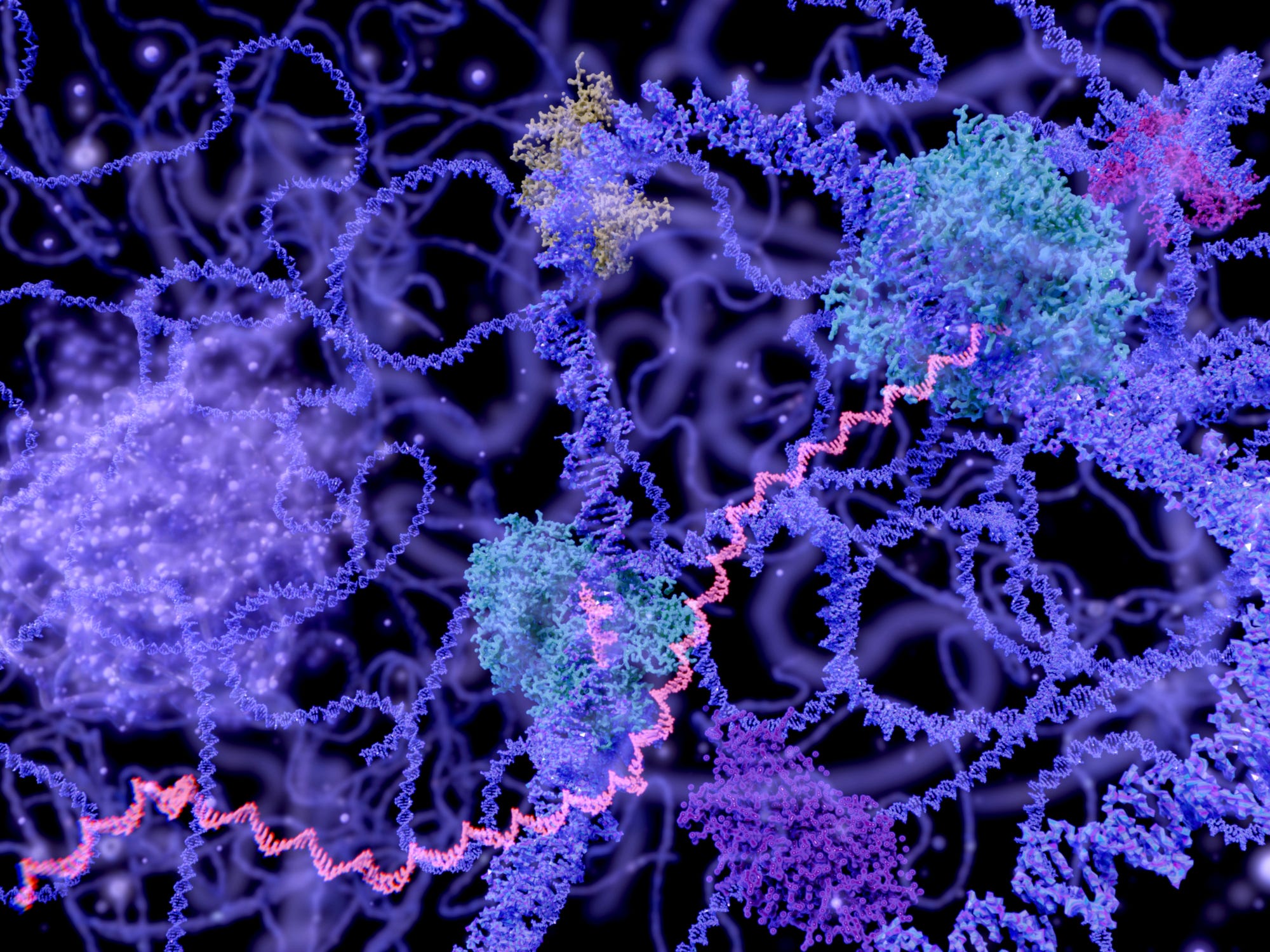 messenger rna vaccine