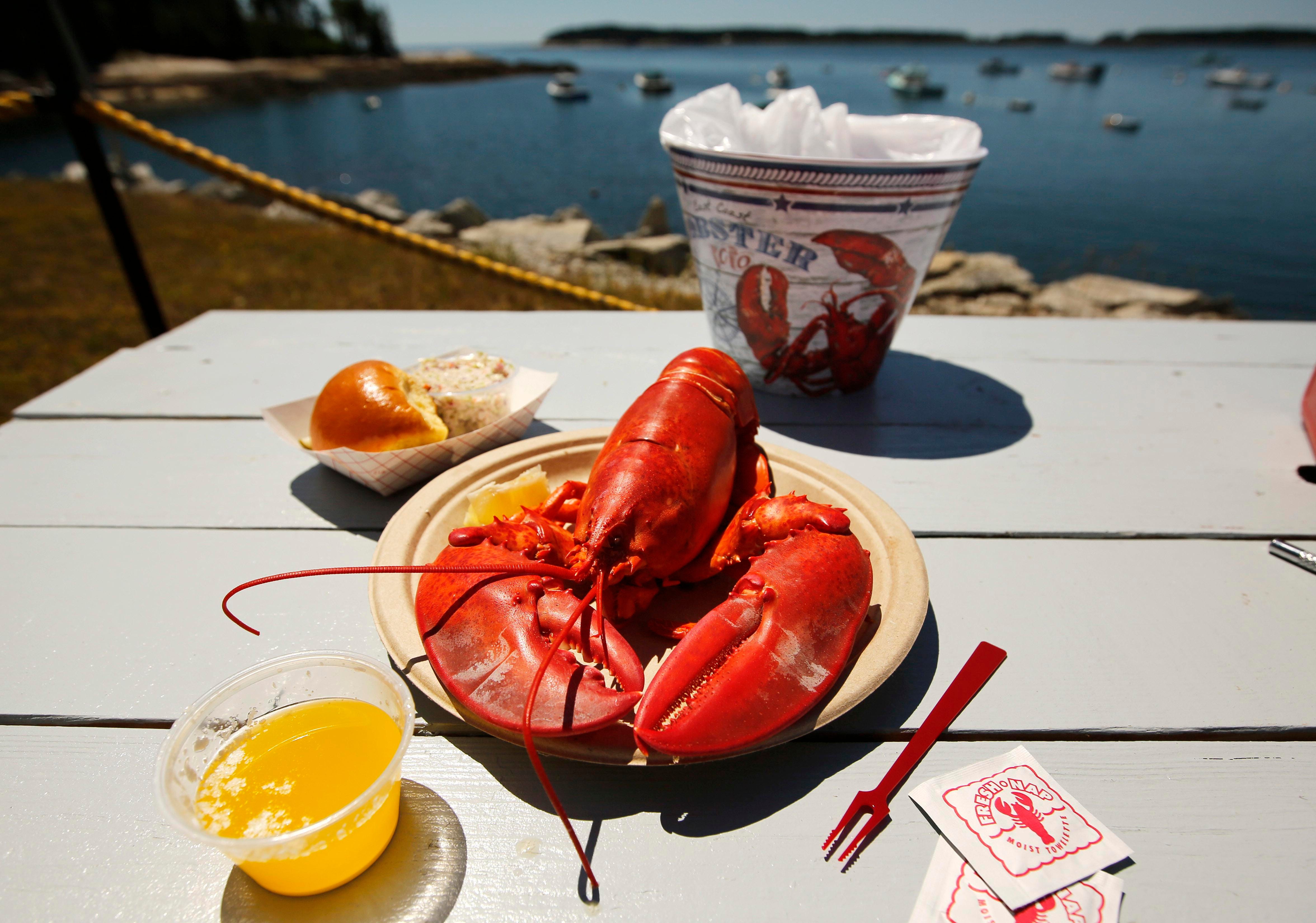 Lobster Costs Roll Higher Beach Rentals Sell Out News From Around Our 50 States