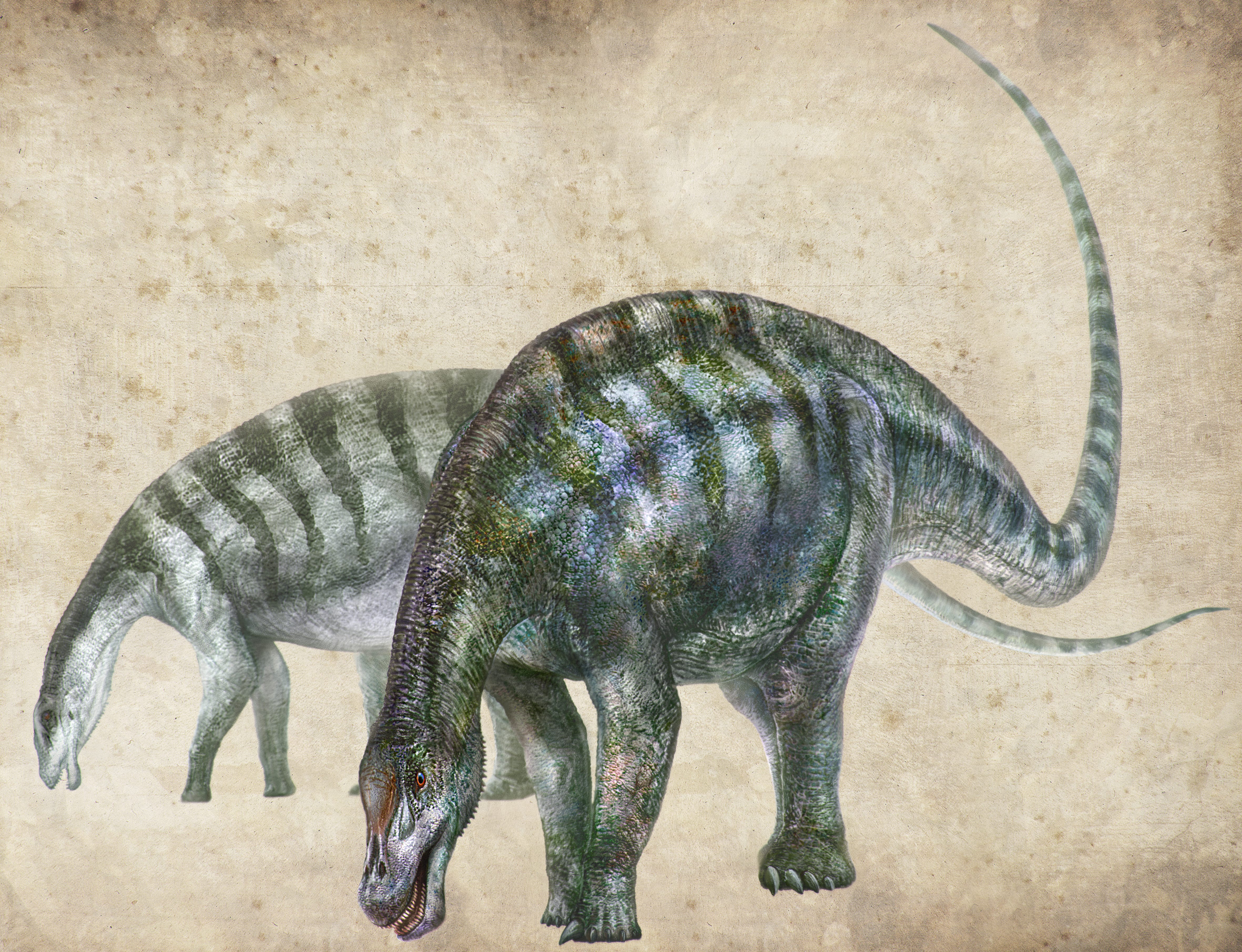 'Amazing Dragon': New Dinosaur Species Discovered In China