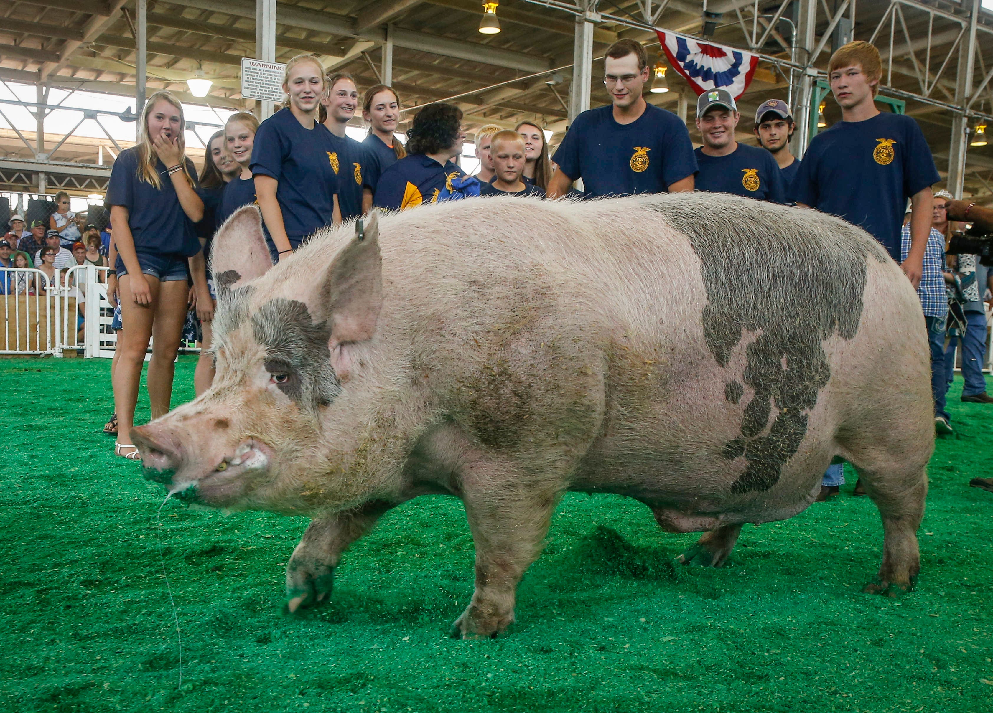 Iowa State Fair Daily attendance figures for the State Fair