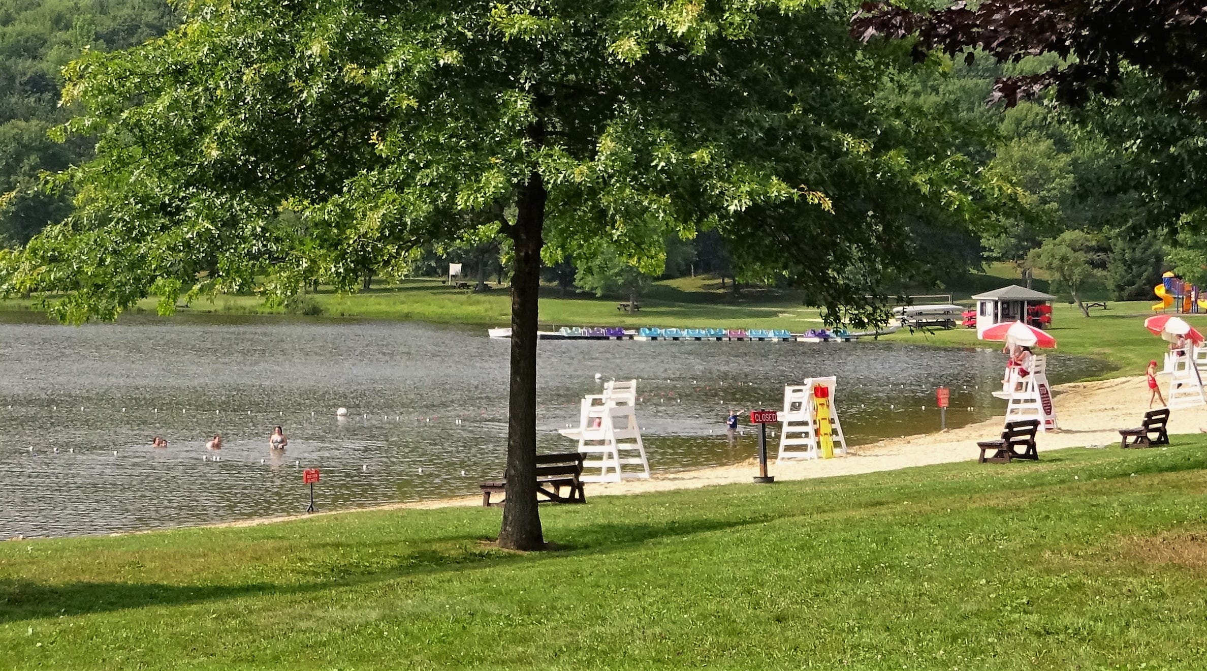 Greenwood Park beaches could reopen soon after algae bloom