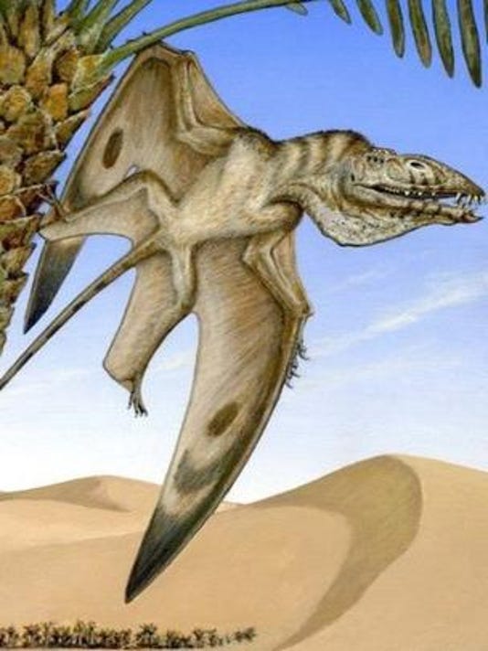 pterodactyl dinosaur fossil