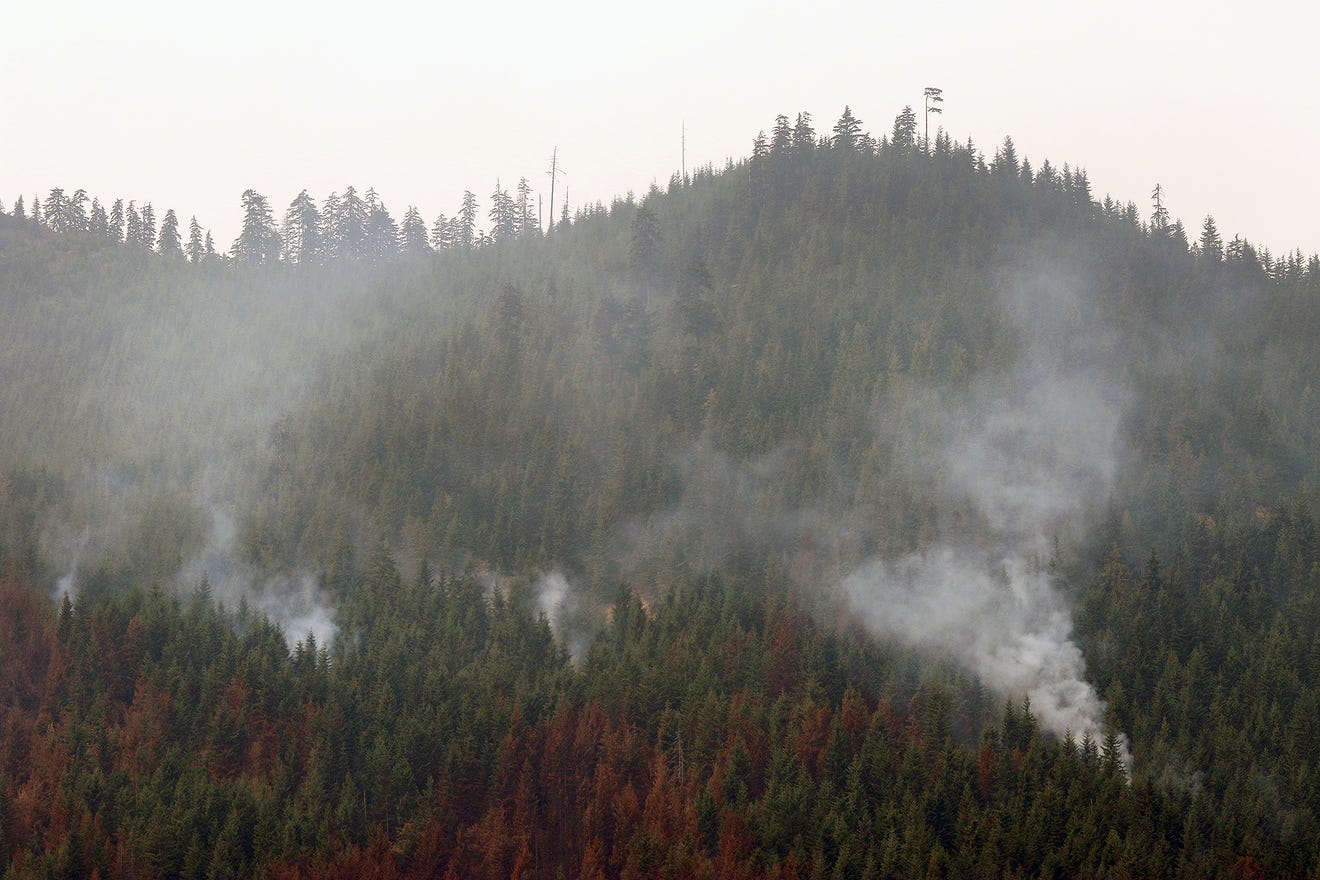 Olympic Peninsula burning across more than 2,000 acres