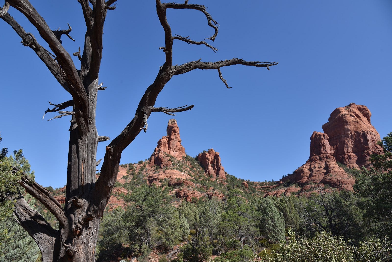 Easy Sedona hike: Ant Hill Loop