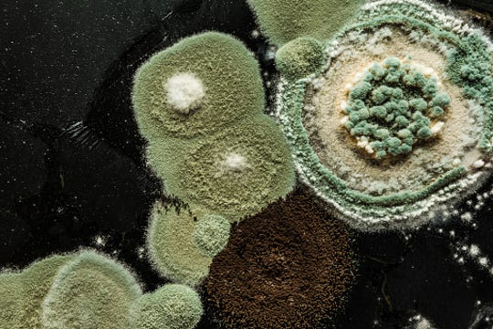 Mold contamination could keep some NJ schools closed for weeks