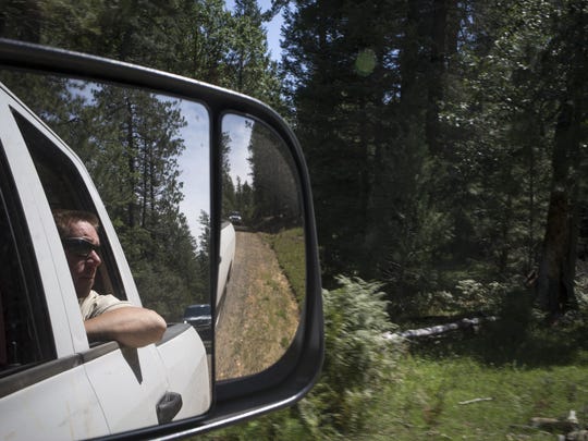 Mike Dechter, NEPA coordinator for the Coconino National Forest, views an area of the General Springs Timber sale.