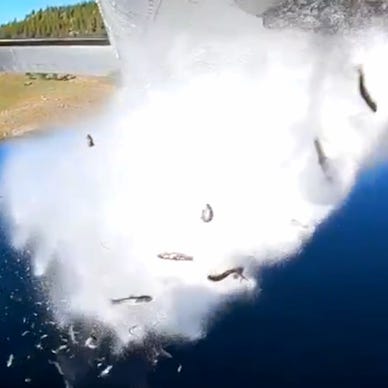 Utah drops thousands of fish from airplane into lakes