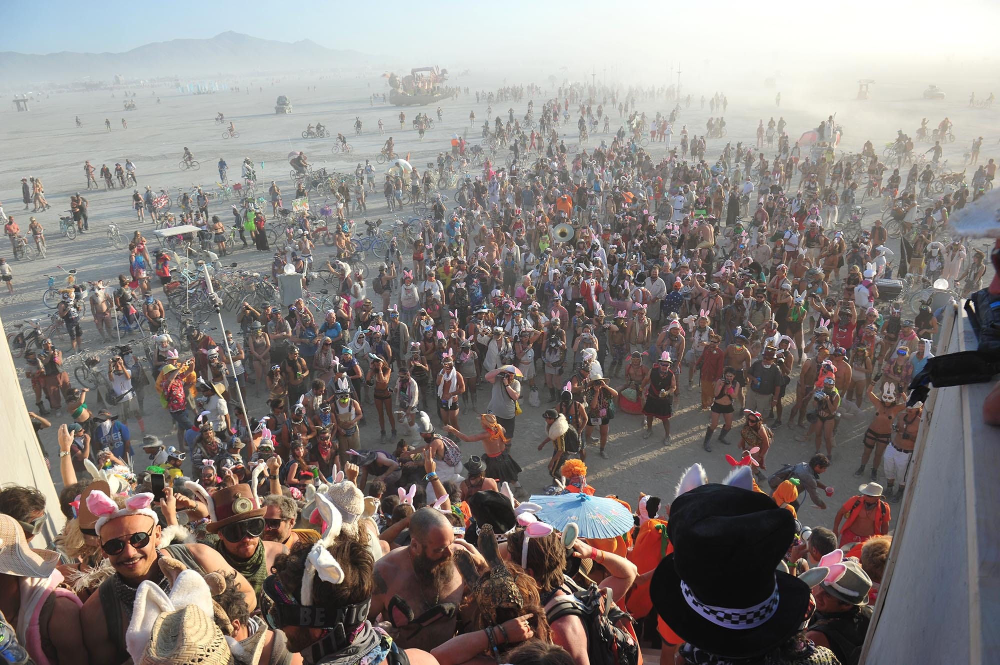 Burning Man Oversells Event Asked To Shut Down Entry   C035d4b0 A59e 40fb 941e Ee453fcf82e9 Billion Bunny March 2018 49.JPG