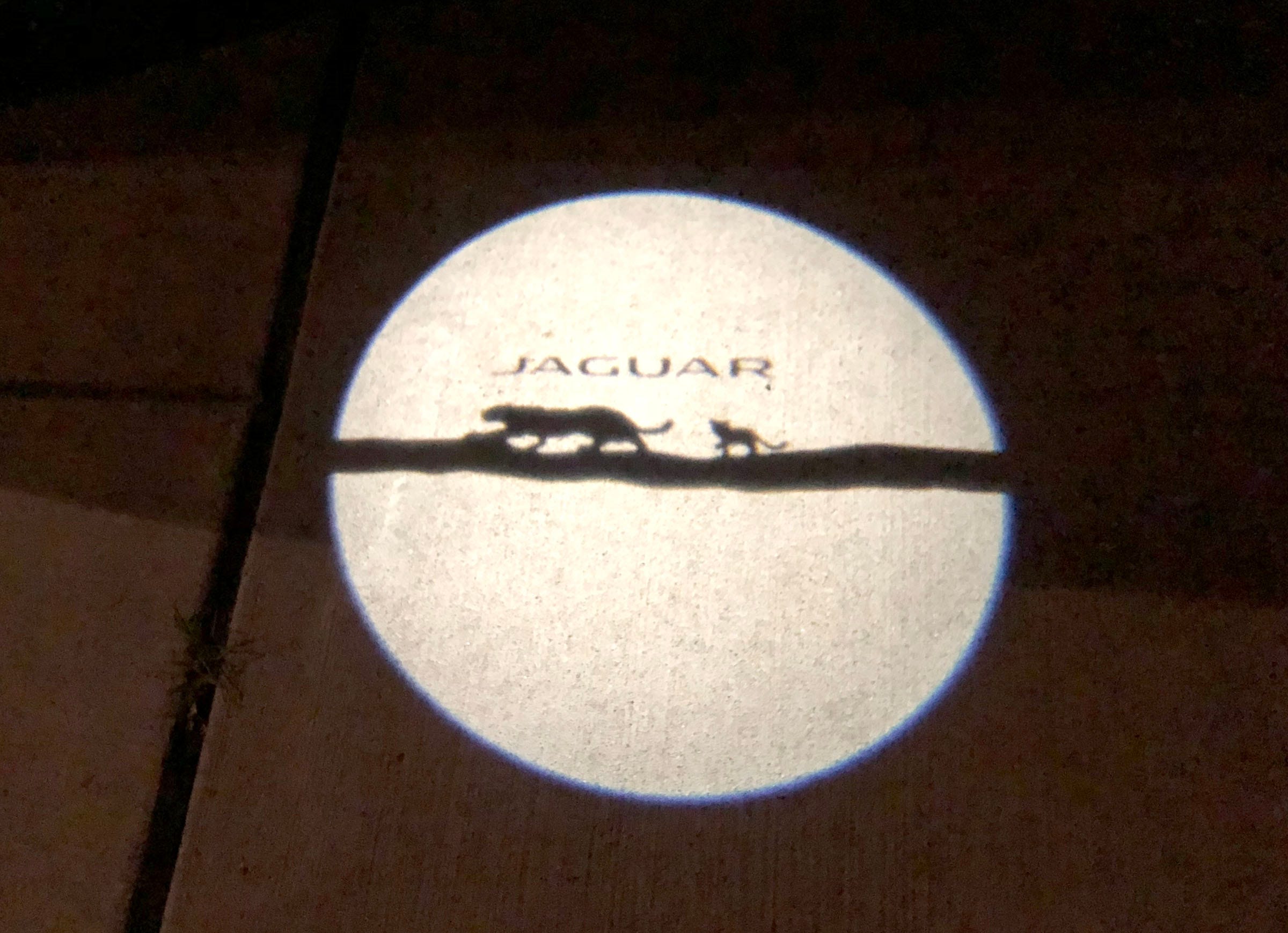 jaguar e pace mats