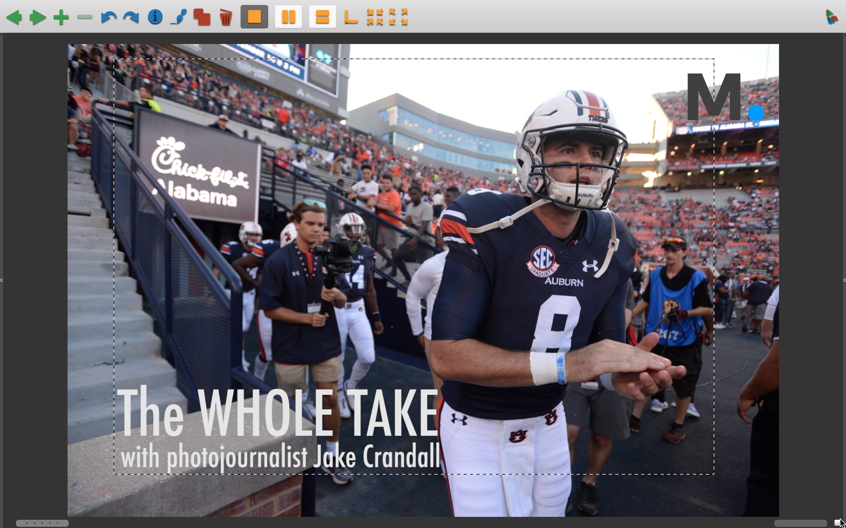 The Whole Take Pregame Warm Ups For Auburn Alabama State Game