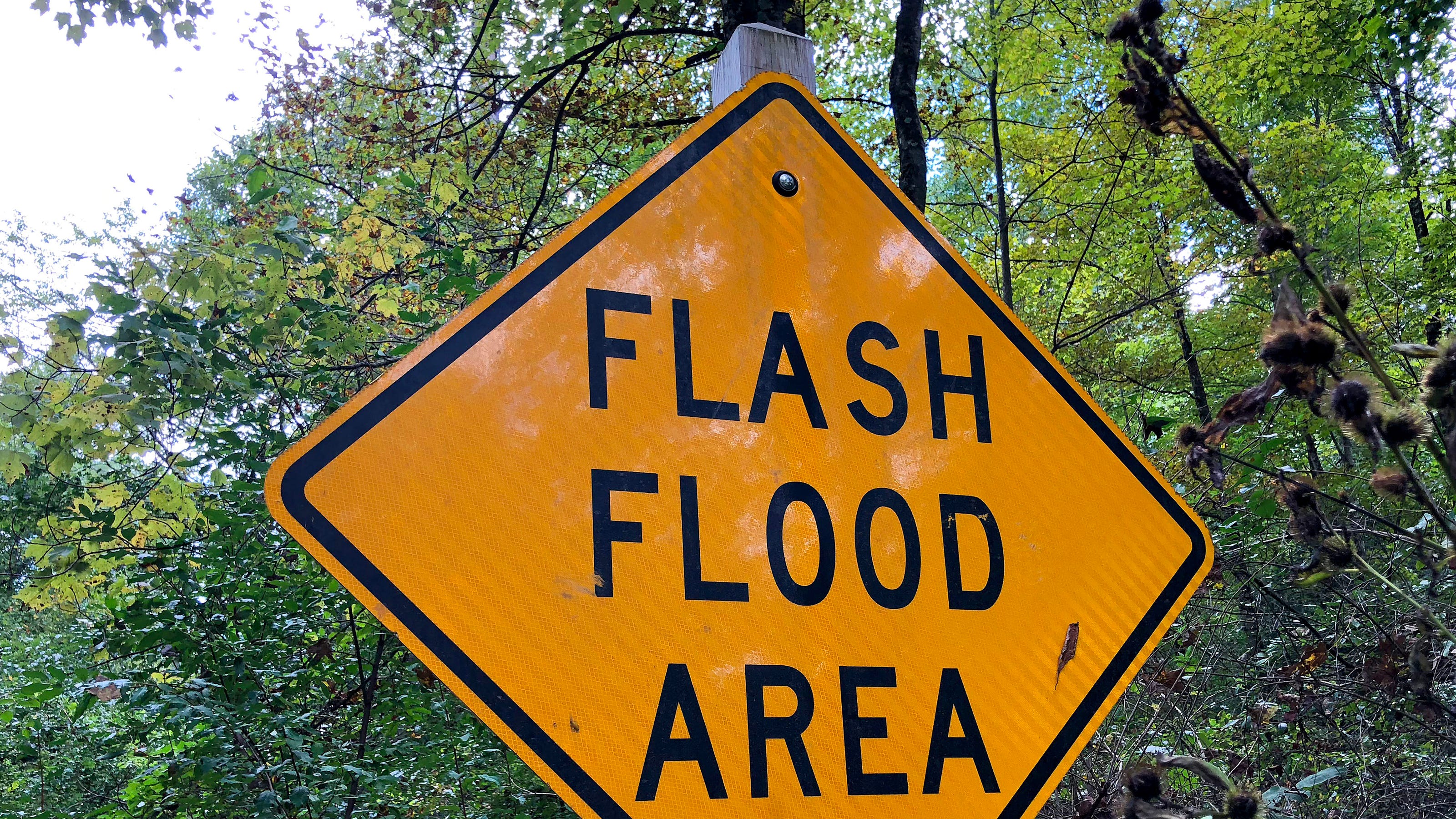 flash flood vs flood