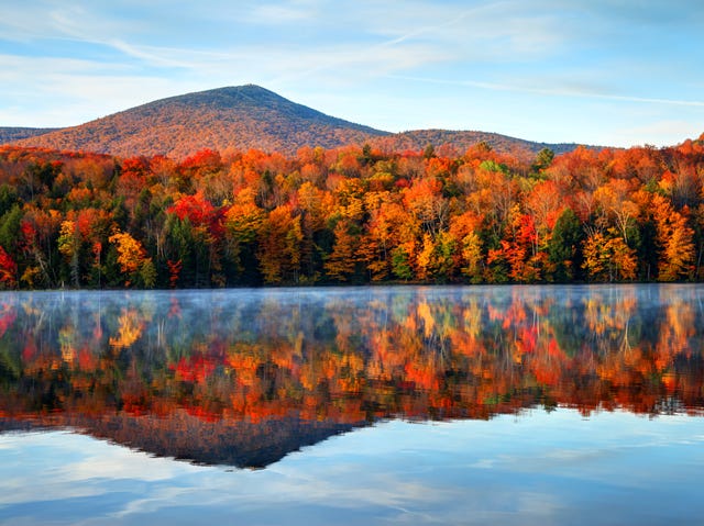 7 Things You Need To Properly Experience Fall In Vermont - 