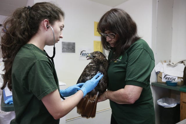 Regi Expansion Raptor Education Group Builds New Clinic As