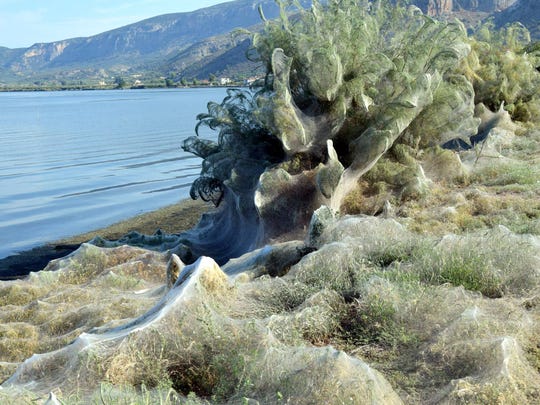 A massive spider web sits on a beach in Aitoliko, Greece.