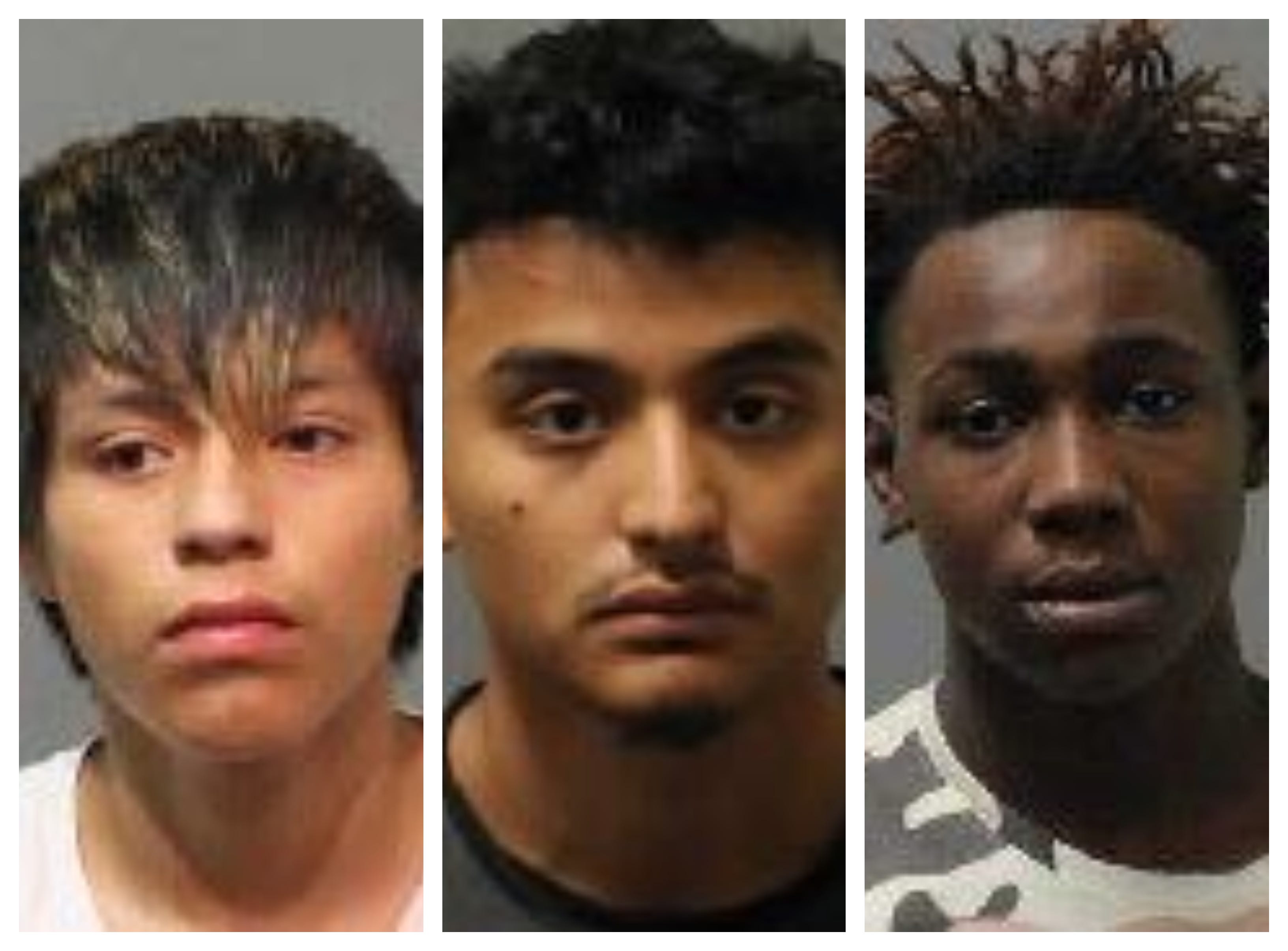 Tallahassee Teens Accused Of Crime Spree Being Charged As Adults