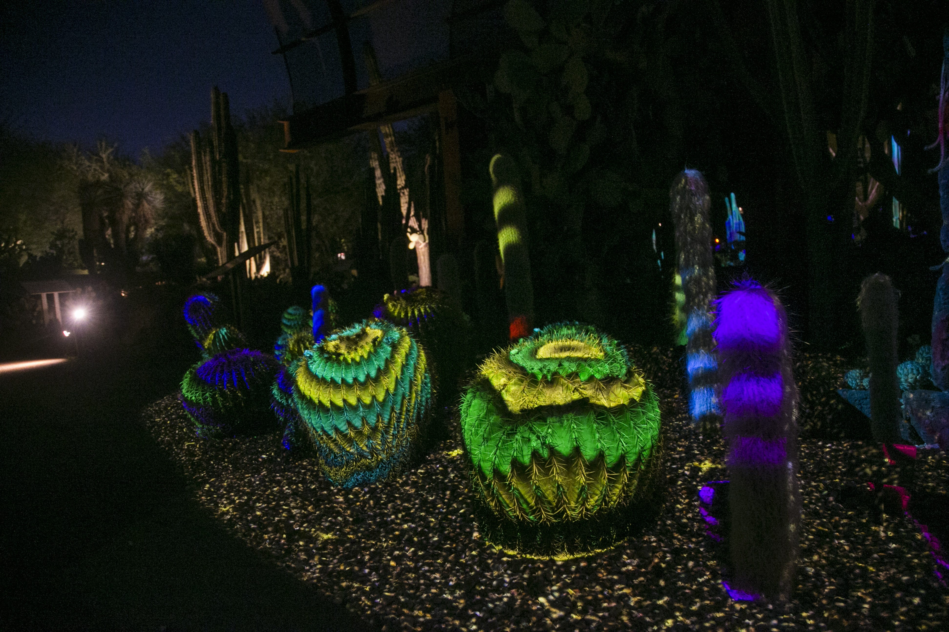 Botanical Luminaria 2018 Desert Garden