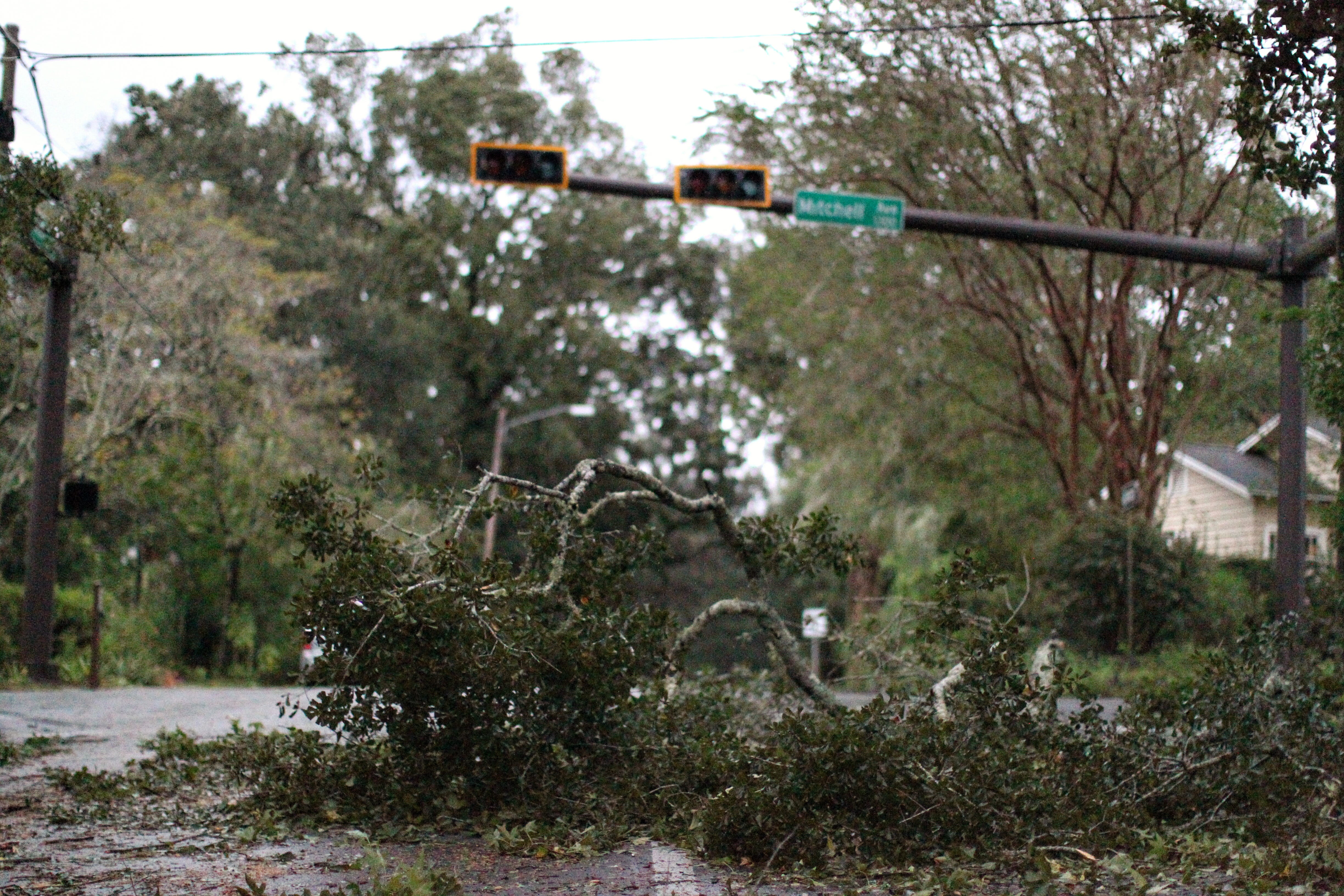 PHOTOS: Tallahassee's Aftermath Of Hurricane Michael