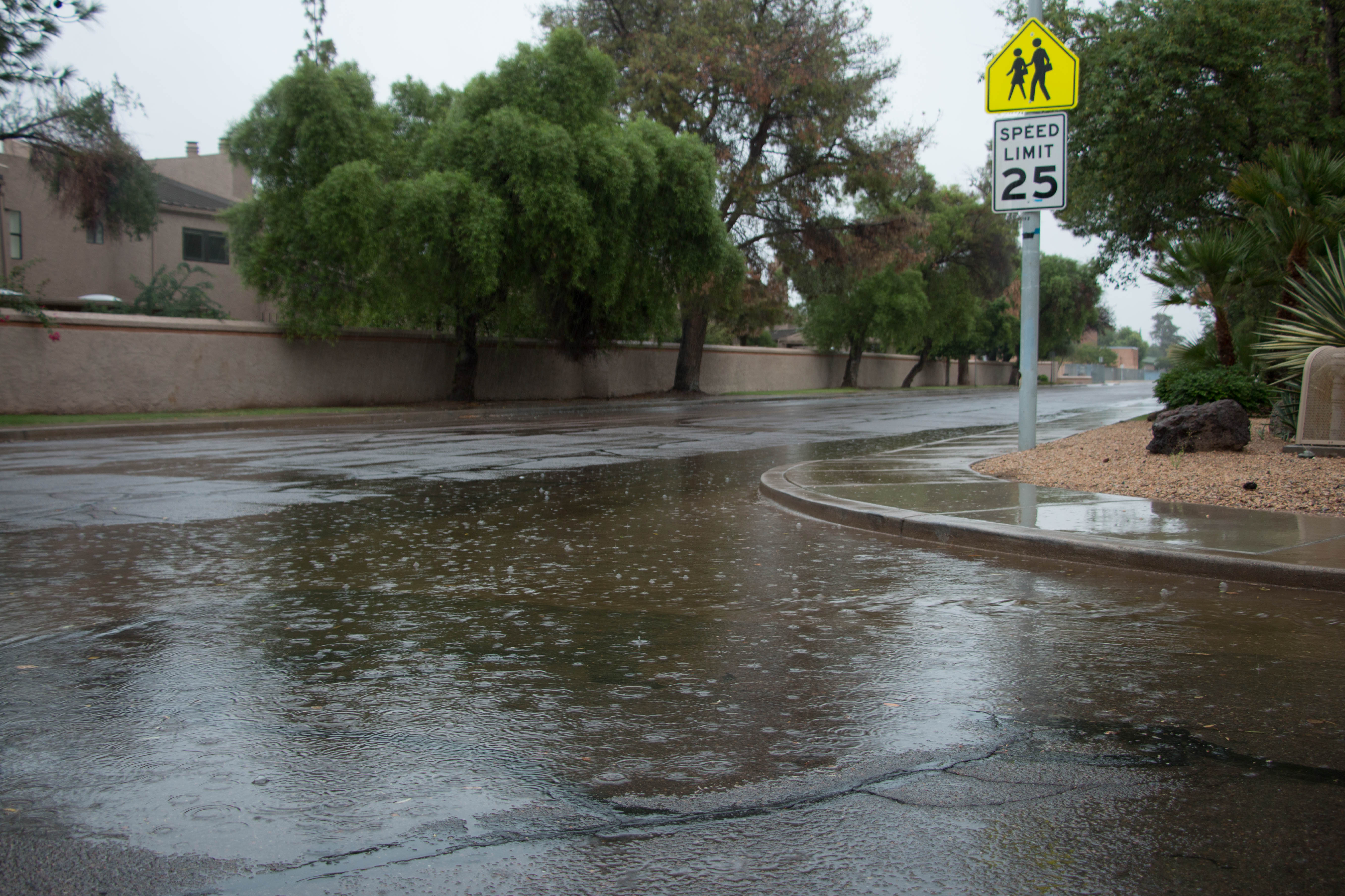 local weather phoenix arizona