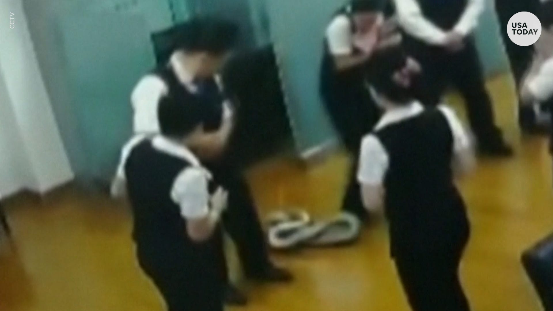 Snake Falls From Ceiling Scares Bank Workers