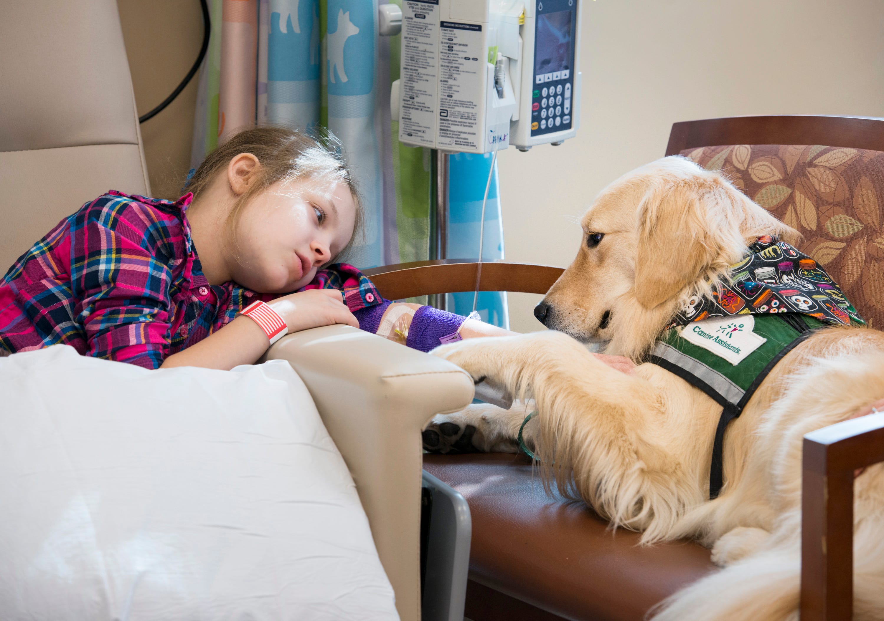 therapy dogs unlimited