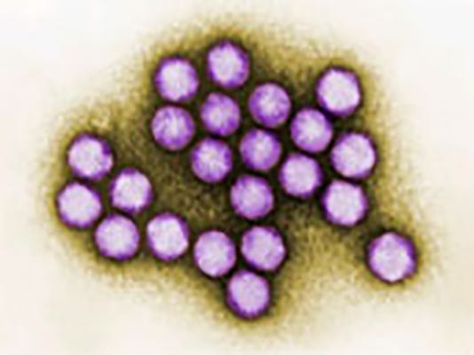 adenovirus