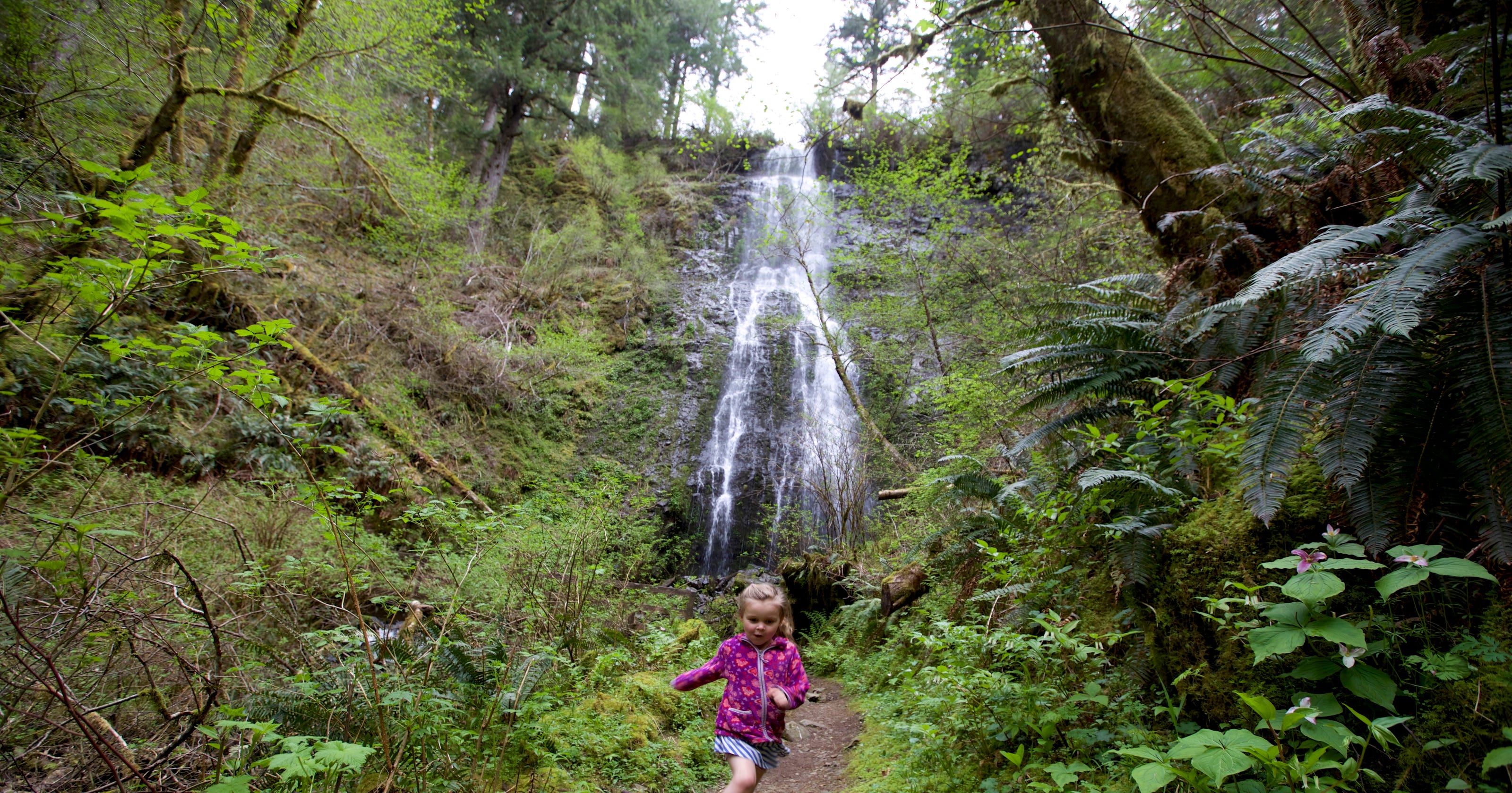 15 essential waterfalls hikes near Salem, Oregon