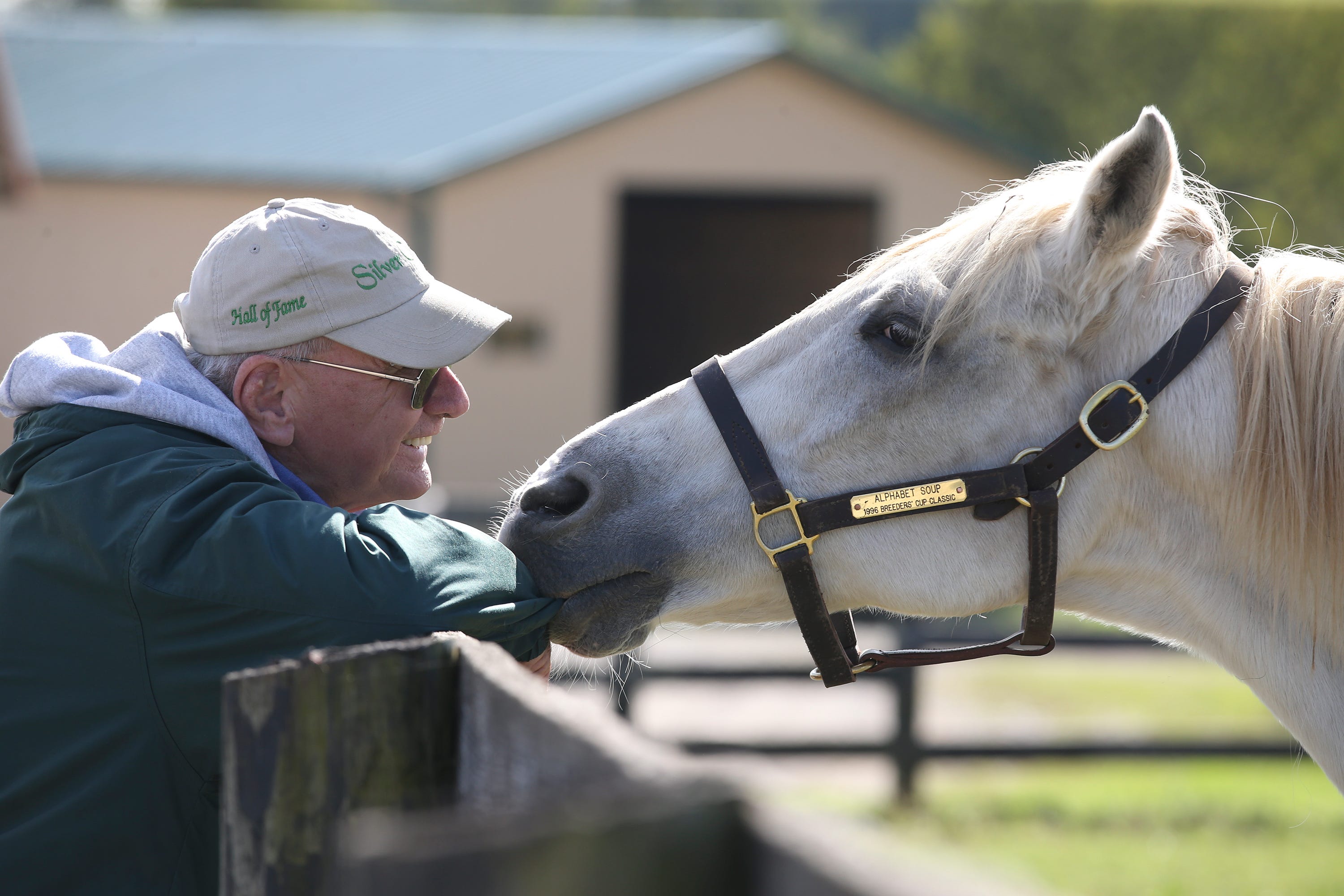 Tour Old Friends Thoroughbred Retirement Farm In Kentucky