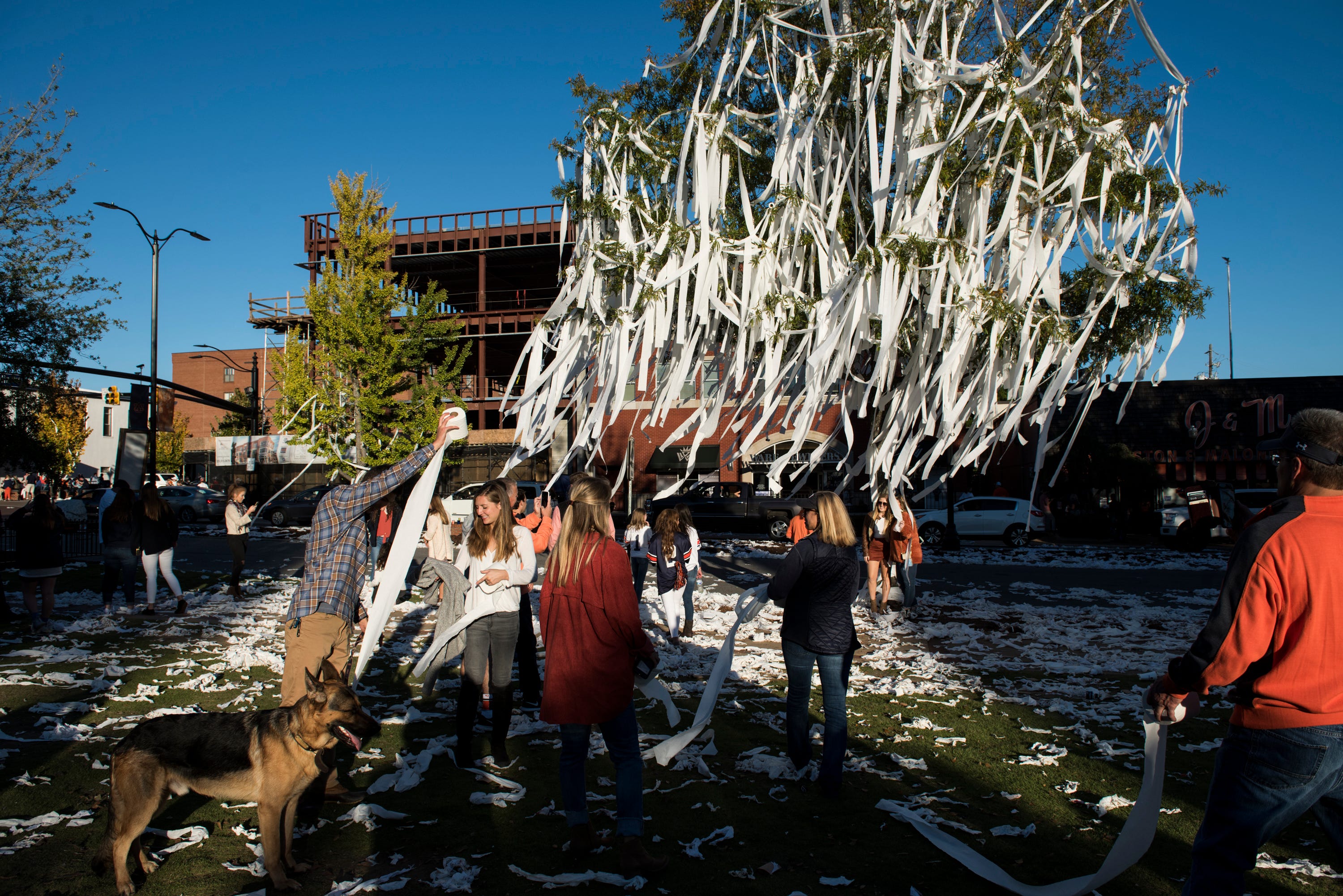 Untold Stories Of Harvey Updyke S Angry Plot To Kill Auburn Oak Trees   374279d0 49e9 49dd Af4b 3203f97ed1b5 Jc AuburnAM 70 