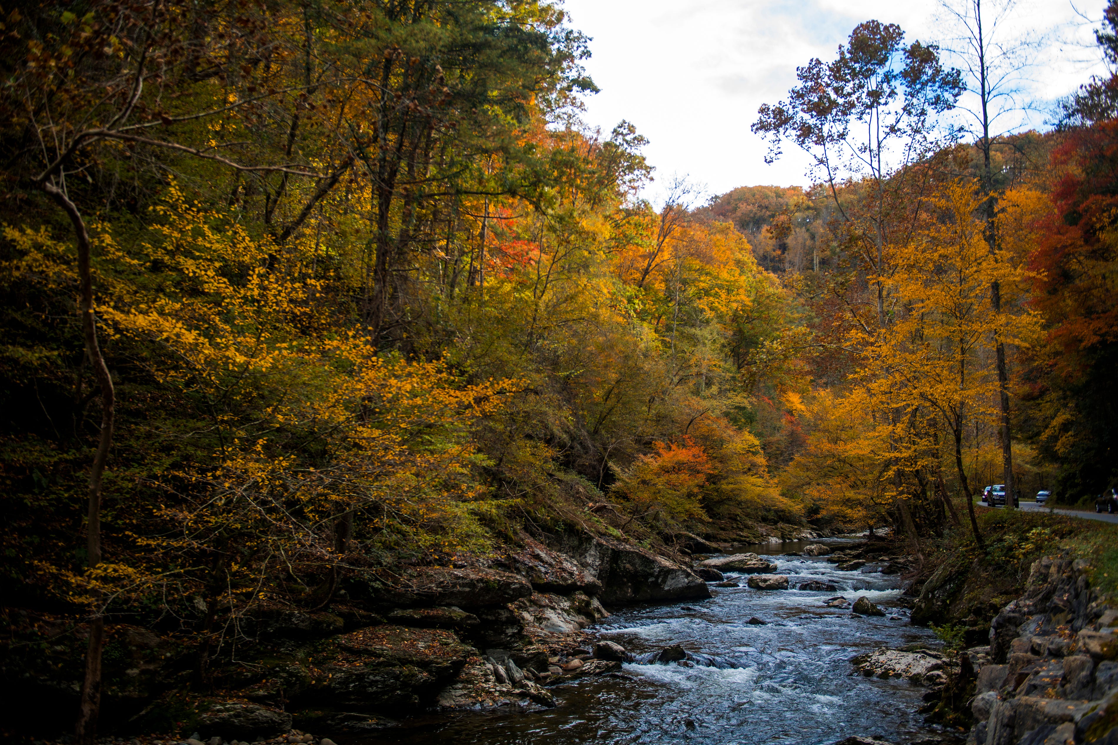 Fall colors Photographers explore East Tennessee's autumn landscape